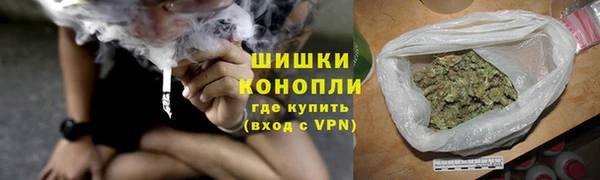 сатива Армянск