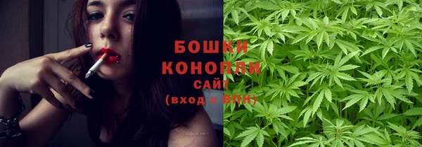 сатива Армянск