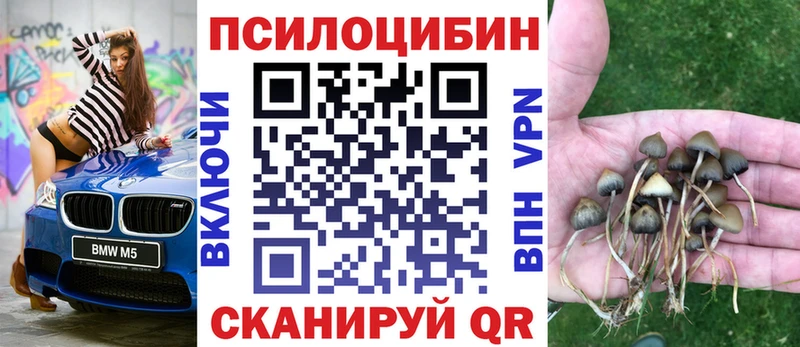 закладки  Буинск  Галлюциногенные грибы мухоморы 